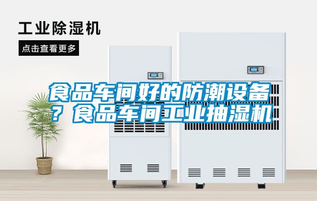 食品車間好的防潮設(shè)備？食品車間工業(yè)抽濕機(jī)