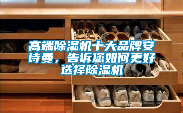 高端除濕機十大品牌安詩曼，告訴您如何更好選擇除濕機