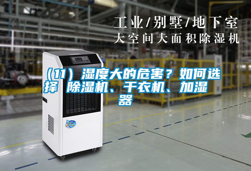 （11）濕度大的危害？如何選擇 除濕機、干衣機、加濕器