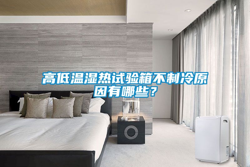 高低溫濕熱試驗箱不制冷原因有哪些？