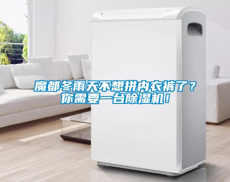 魔都冬雨天不想拼內(nèi)衣褲了？你需要一臺(tái)除濕機(jī)！