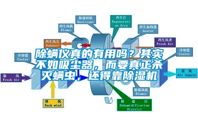 除螨儀真的有用嗎？其實不如吸塵器，而要真正殺滅螨蟲，還得靠除濕機
